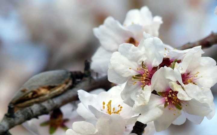 Végre, végre, végre: itt a tavasz!