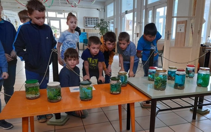 A víz világnapját ünnepelték a Vasvári nebulói