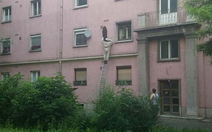 Elvitték a Gorkijból a méhrajt