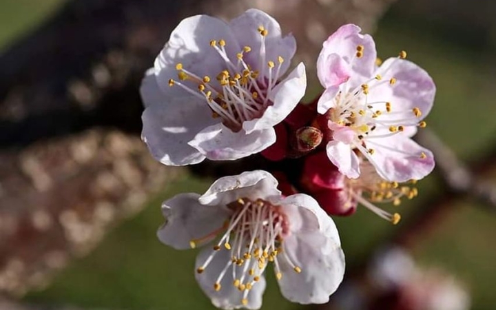 Nyárias meleg után masszív lehűlés jön – és ha igaz, végre csapadék!