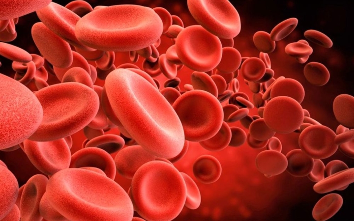 Tudományos alapokon a vérzékenységről