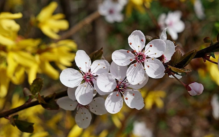 Lassú, de biztos javulás, újra közelít a tavasz