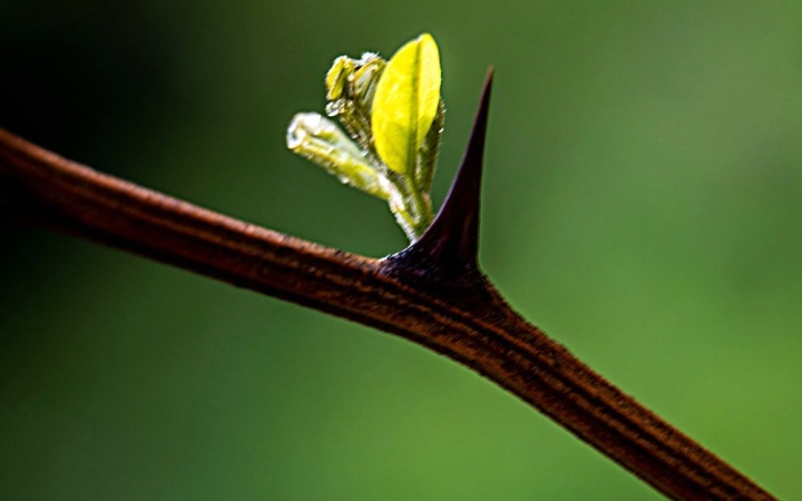 Visszatér a napos idő – és melegedés várható