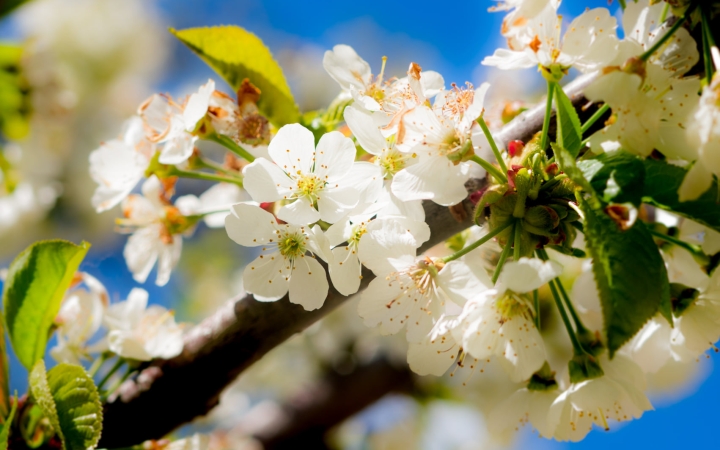 Ha eddig nem tudta, mit jelent a "szeszélyes április", eljött az idő