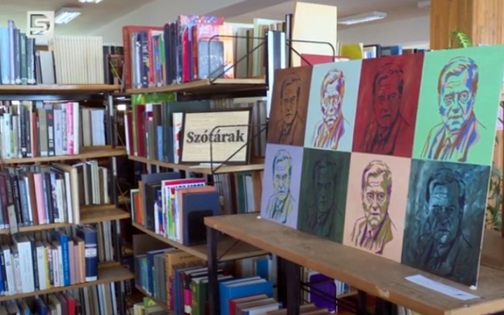 DSTV: irodalmi arcképcsarnok a könyvtárban