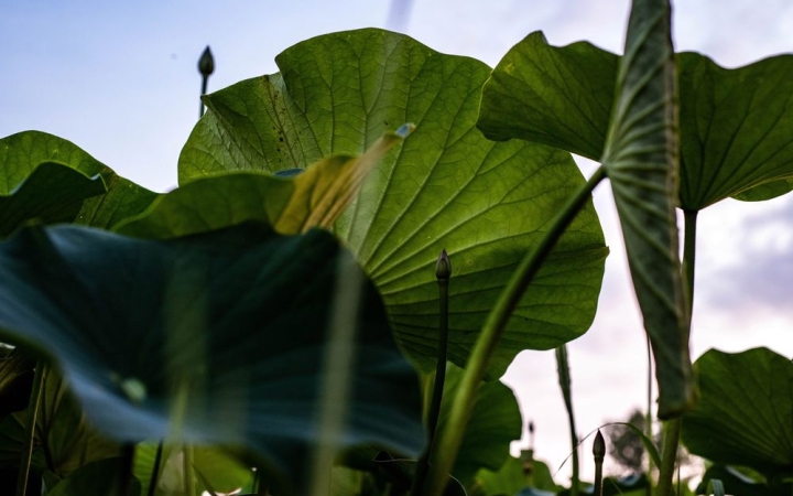 "Pihenő" a Bartók Galériában – már mától