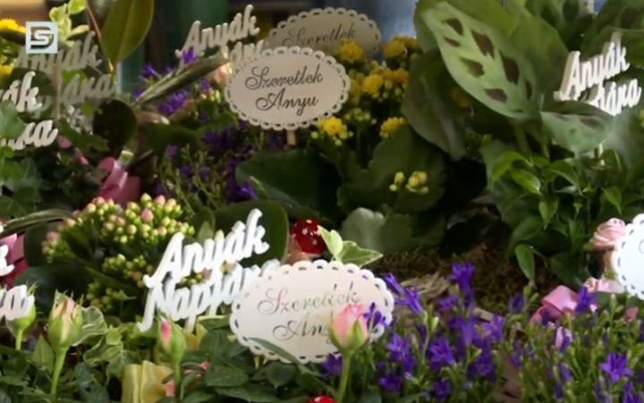 DSTV: az anyák ünnepe