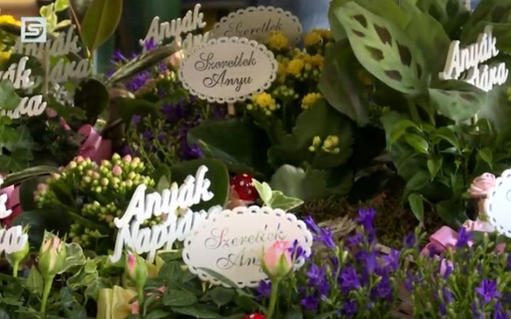 DSTV: az anyák ünnepe