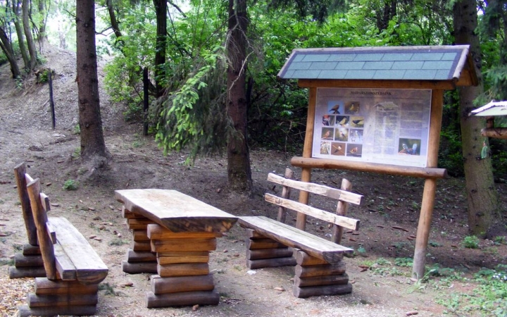 A Baracsi úti Arborétum története a kezdetektől napjainkig