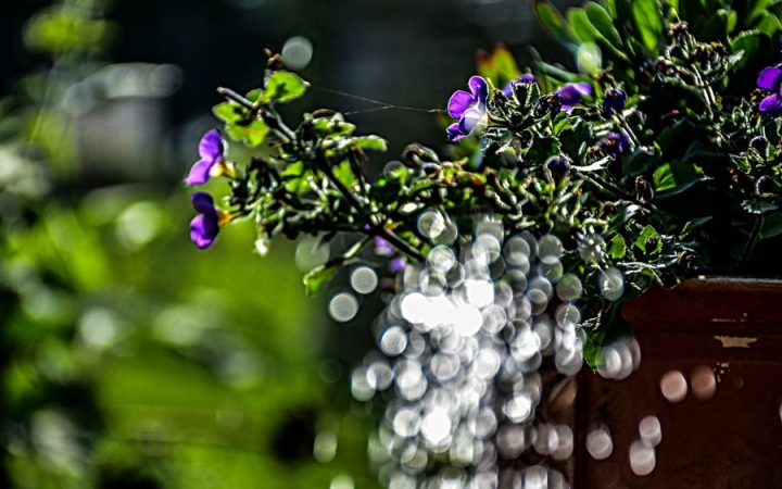 Nyárias mutatók, de keddtől lehűlés jön és újra eső