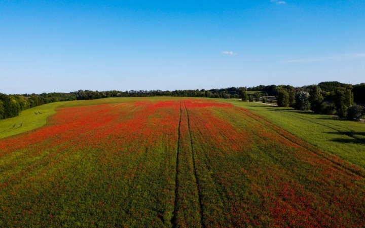Változékony idő várható, de végre jöhet némi csapadék is