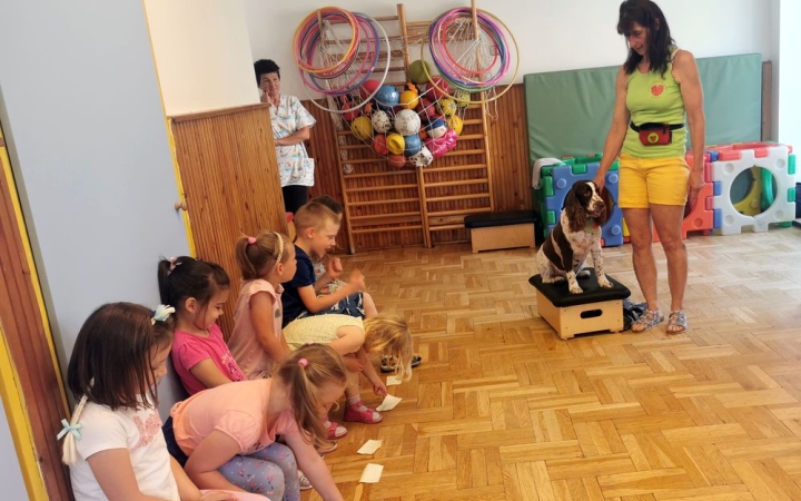 Négy lábon járó türelem, nyugalom és együttműködés