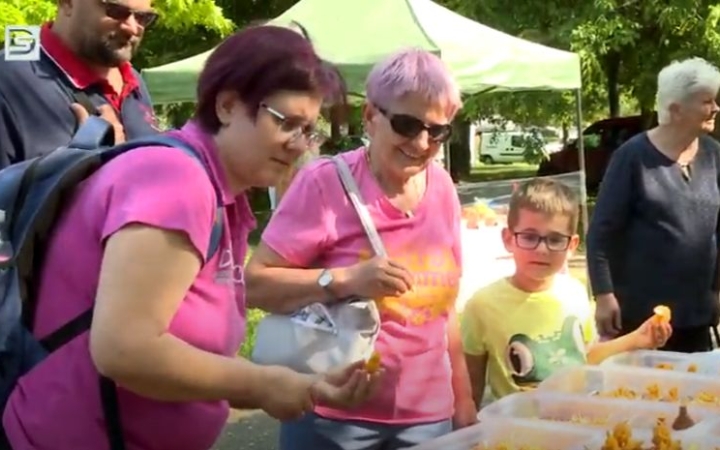 DSTV: költözik a Kincses Kert