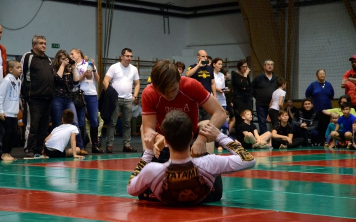 DSTV: sikeres szereplés