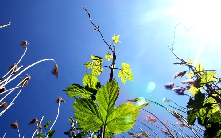 Brutális kánikula következik – zivatarokkal