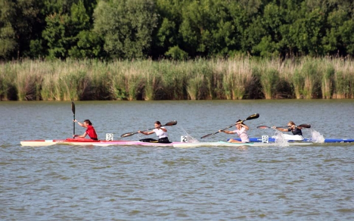Eredményes utánpótlás a kupában