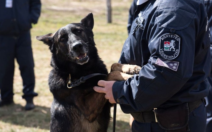 Elmerültek a Dunában, keresik a bv-s kutyakiképzőket (FRISSÍTVE!)