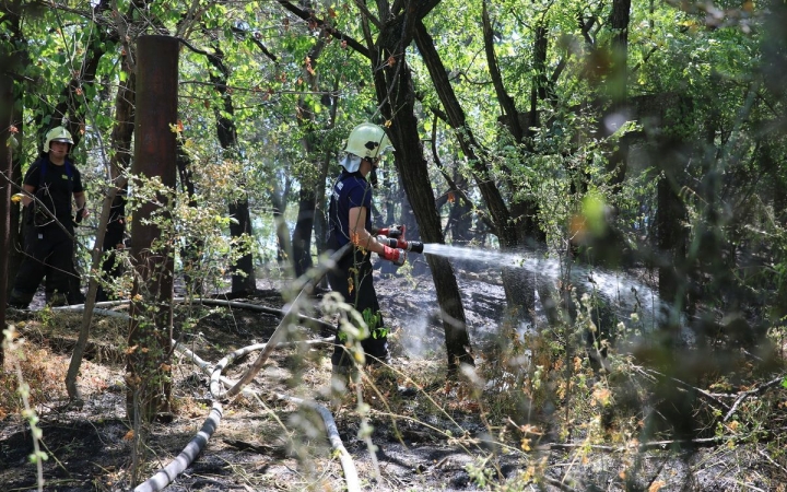 Újra égett az erdő a Papírgyári útnál (Galériával!)