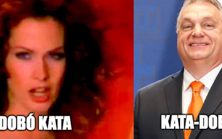 Demonstráció a kata kinyírása elleni tiltakozásul a Városháza téren