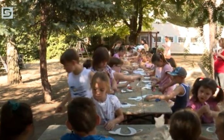 DSTV: a cicák és a kutyusok hete az MMK-ban