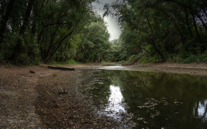 Visszatér a hőség, csapadék csak a hét végén lehet