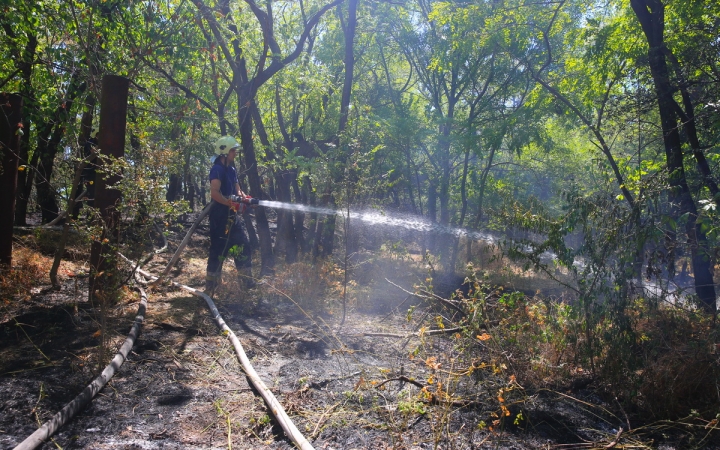 Figyelem, nagy a tűzveszély a kánikulában!