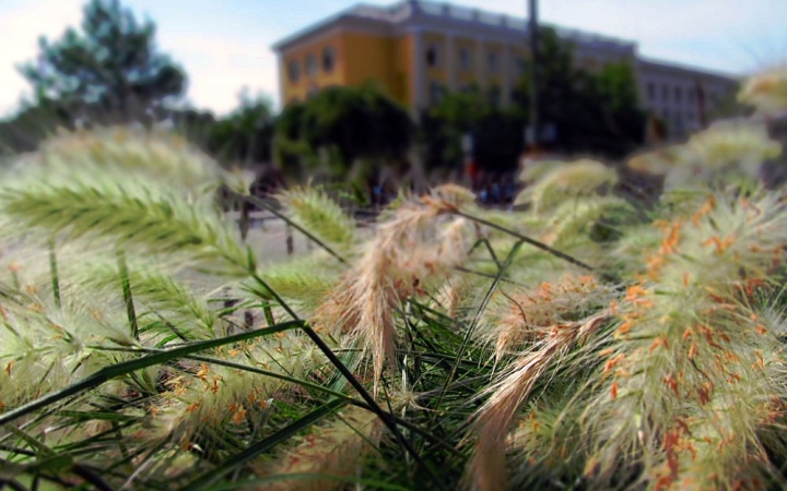 Végre némi lehűlés, végre némi csapadék!