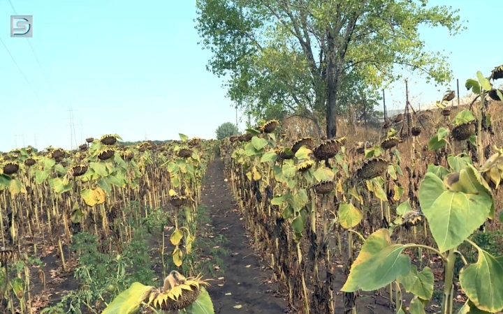 DSTV: folyamatos az áremelkedés