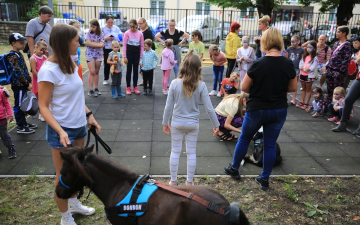 Színes, mozgalmas, kalandos Játékfesztivál (galériával)