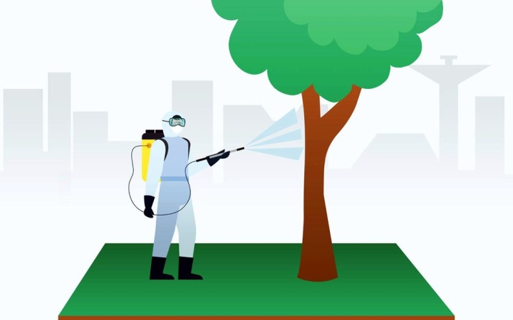 Kezdődik a köztéri fasorok permetezése
