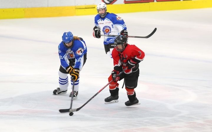 Jégkorong: tucatnyi nevező