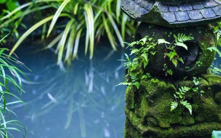 Kerti karbantartás – mi a teendő a tó körül?