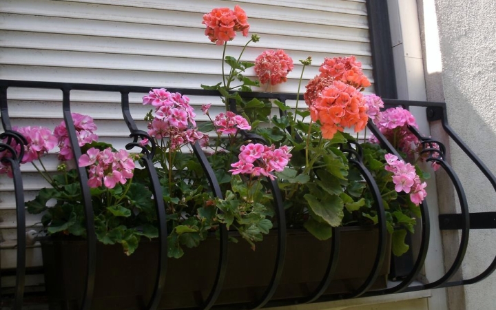 Hamarosan kiderül, hol vannak a legvirágosabb helyszínek Dunaújvárosban