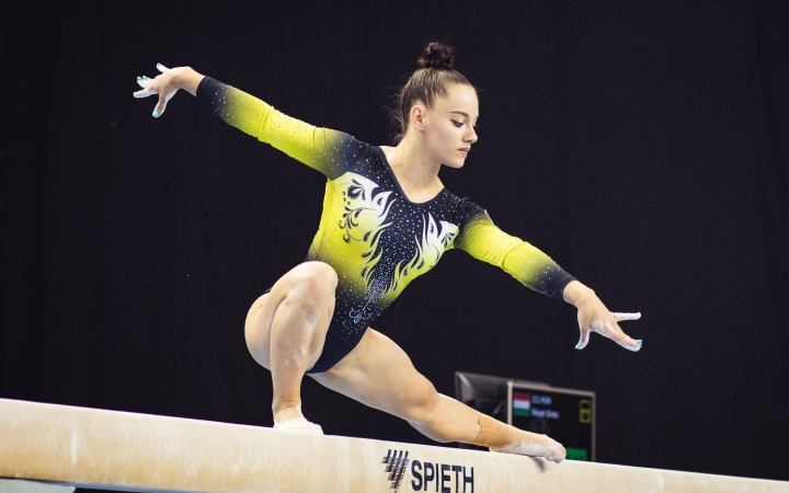 Újabb Mayer-érmek Szombathelyen