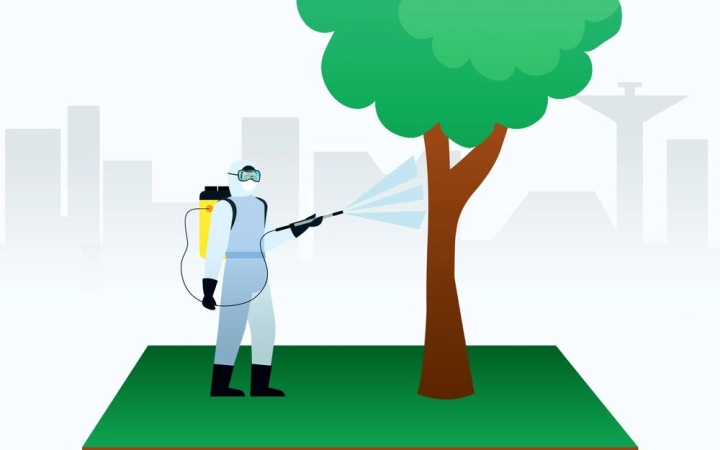 Elkezdték a köztéri fasorok növényvédelmi munkáit
