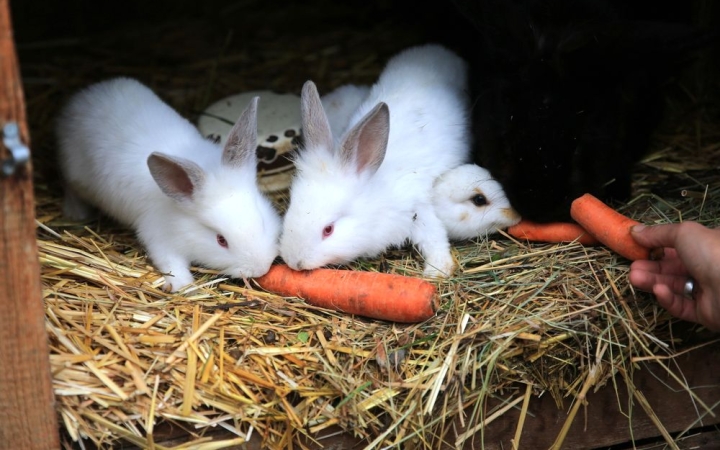 Épül-szépül a Kádár-völgy kincse