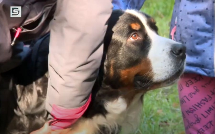 DSTV: együtt ünnepelték az állatok világnapját