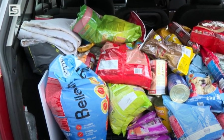 DSTV: adománygyűjtés az állatokért a Móriczban