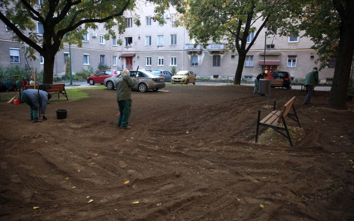 DSTV: füvesítés a Liszt Ferenc kertben