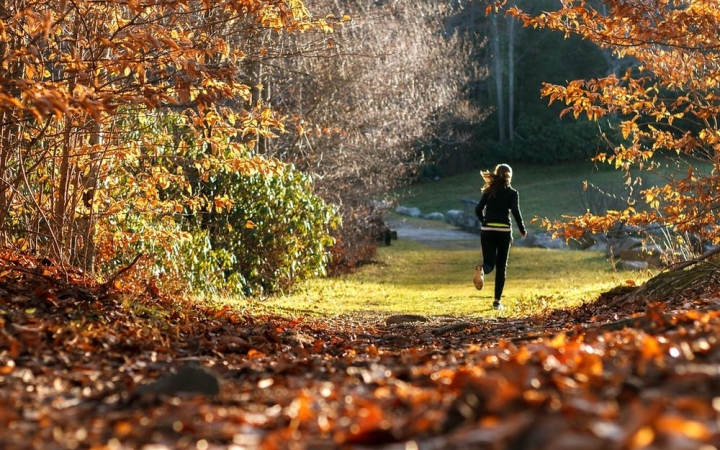 Miért eddz ősszel? Ismerd meg az edzés előnyeit ebben az évszakban!