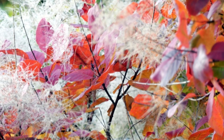 Csöndes, nyugodt, bekuckózós napok előtt