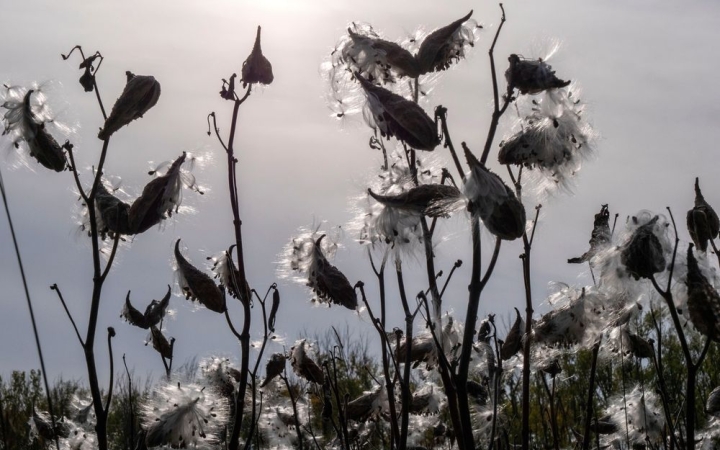 Már-már télies idő várható a hét második felében!