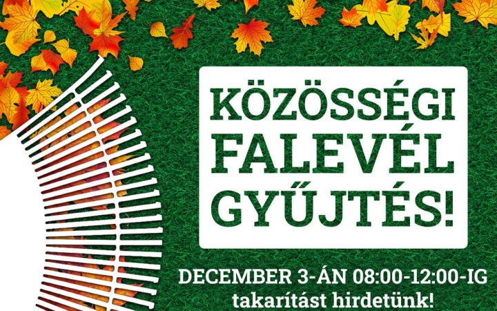 Közösségi lombgyűjtésre invitálják a városlakókat