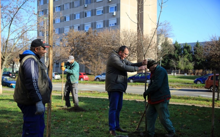 Folyamatosan pótolják a település elpusztult fáit, virágait