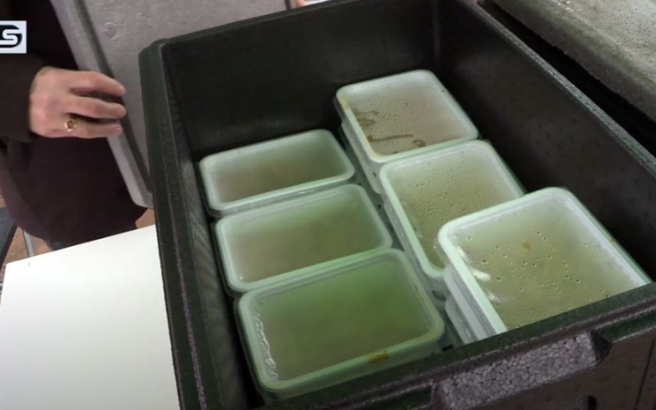 DSTV: ételt osztottak a Városháza téren