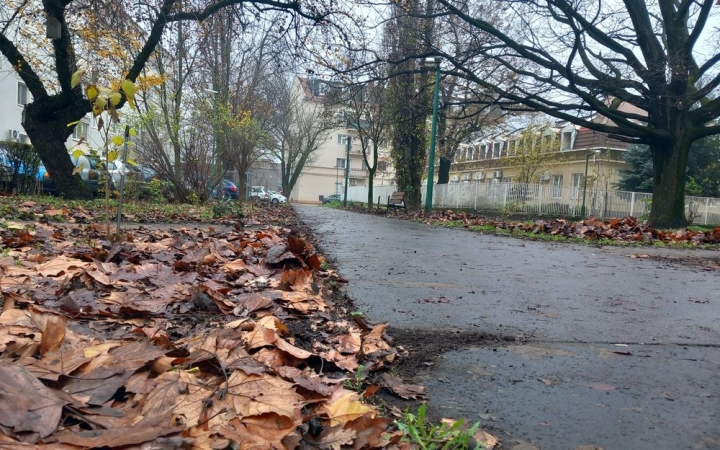 Egy városnyi falevelet szedtünk össze