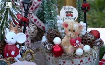 DSTV: karácsonyváró Dunai Kincses Kert (galériával)