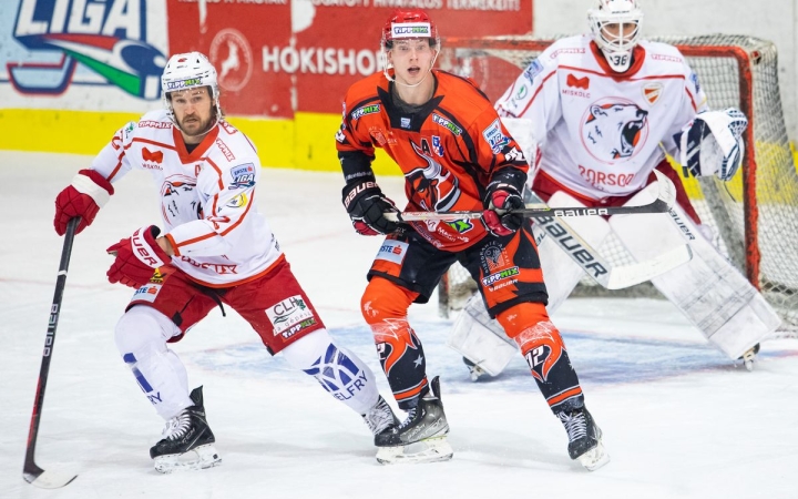 A Jegesmedvékhez látogatnak a Bikák