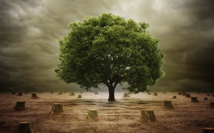 Állítsuk meg a környezetszennyezést!