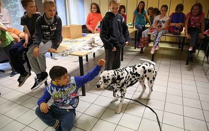 Játékosan tanulni - felelős állattartás